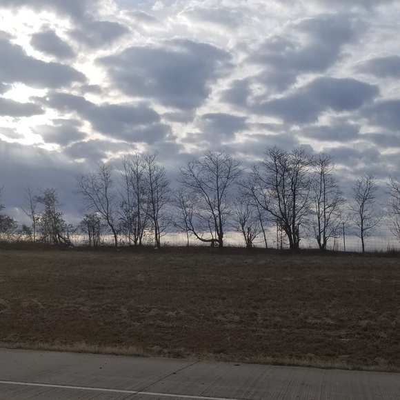 Meet your Posher, Tara - Picture 1 of 1